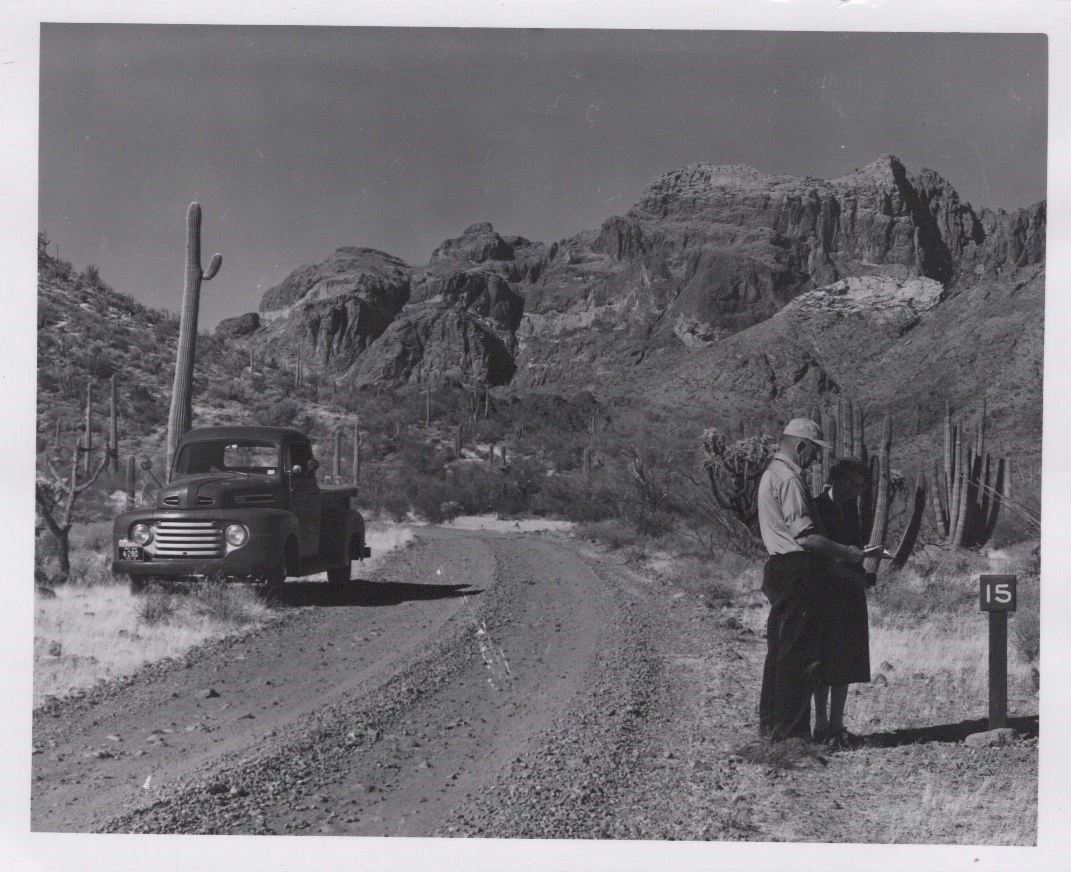ORPI Visitors at Ajo Mountain Drive An unpaved road passes through a desert landscape of cacti and rocky mountains. A pick-up truck is parked on one side and a couple stands on the other side, looking at a sign. 1957 photograph.