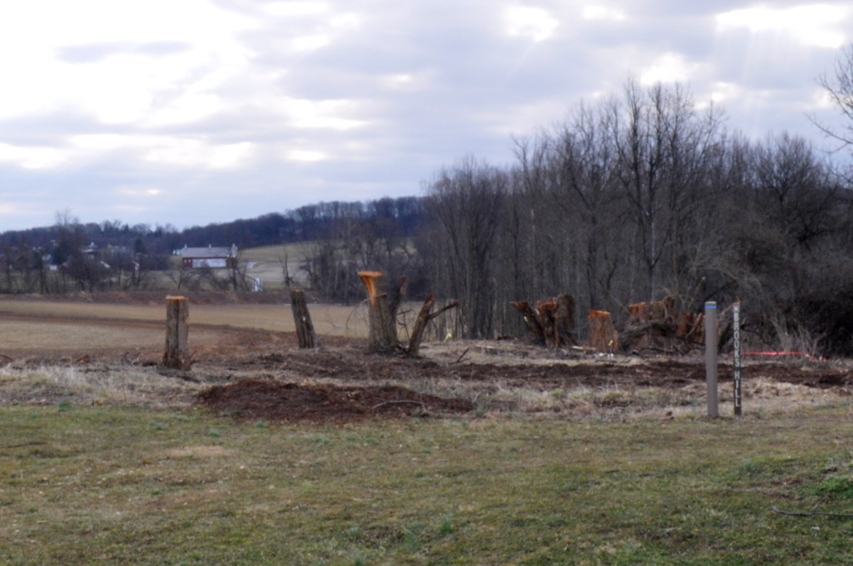 Agricultural fields and farm buildings are visible beyond a row of cut Osage orange tree trunks.
