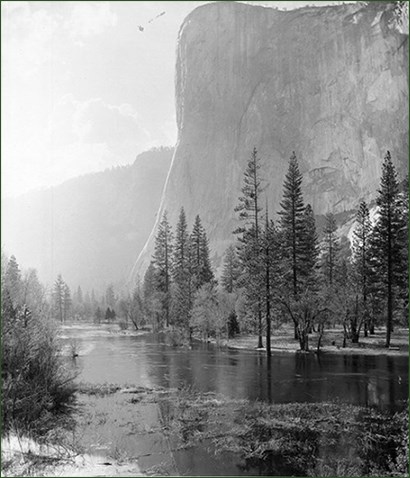 pine trees line a river at the base of a dramatic rock face.