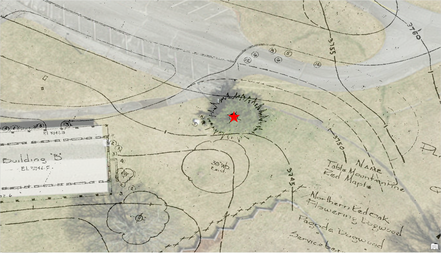 A section of the planting plan for Bluffs Lodge is overlaid on satellite imagery to show that the current mature tree is the same one planted in 1949.