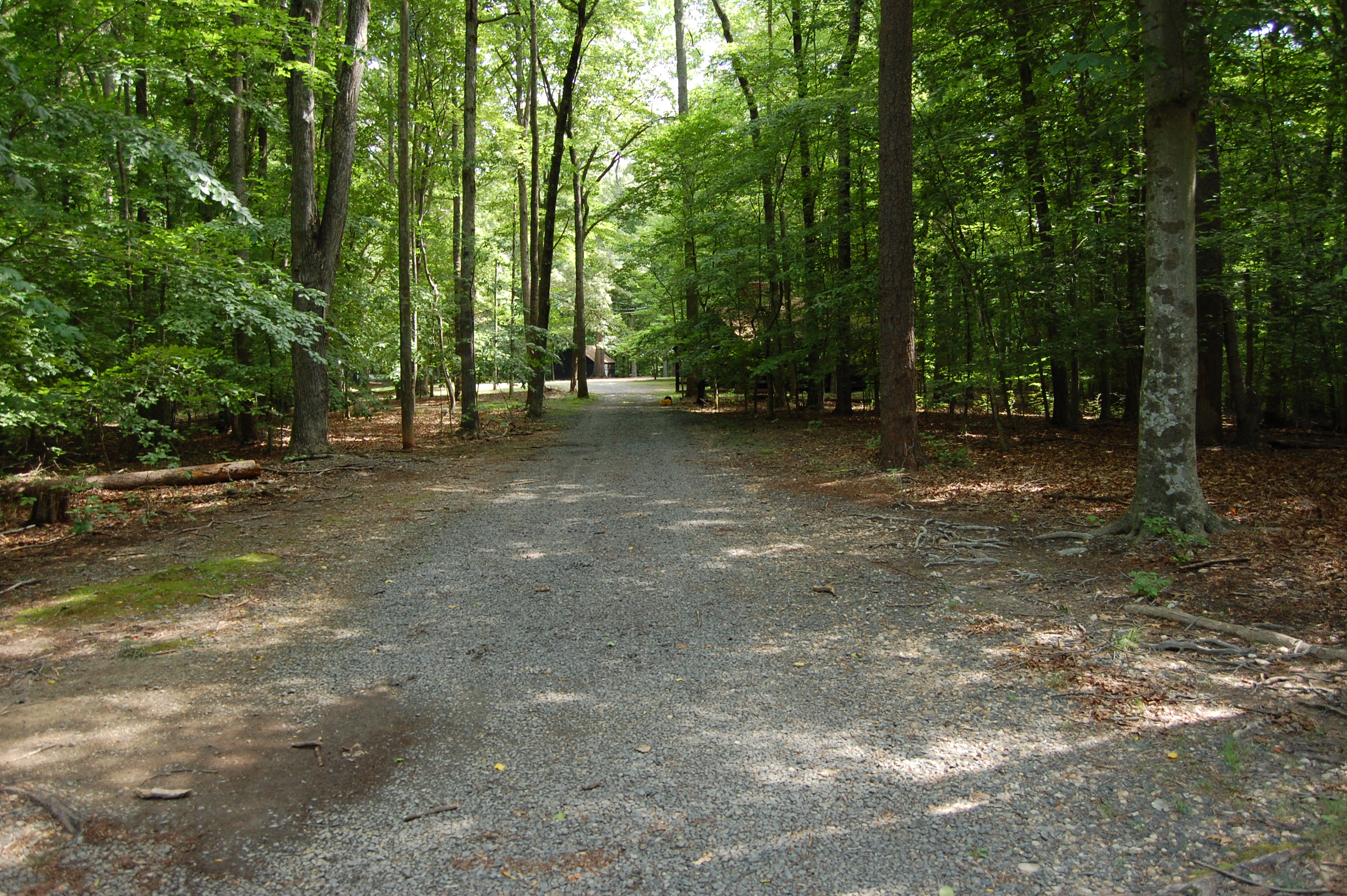 Field School At Prince William Forest Park Documenting Cabin