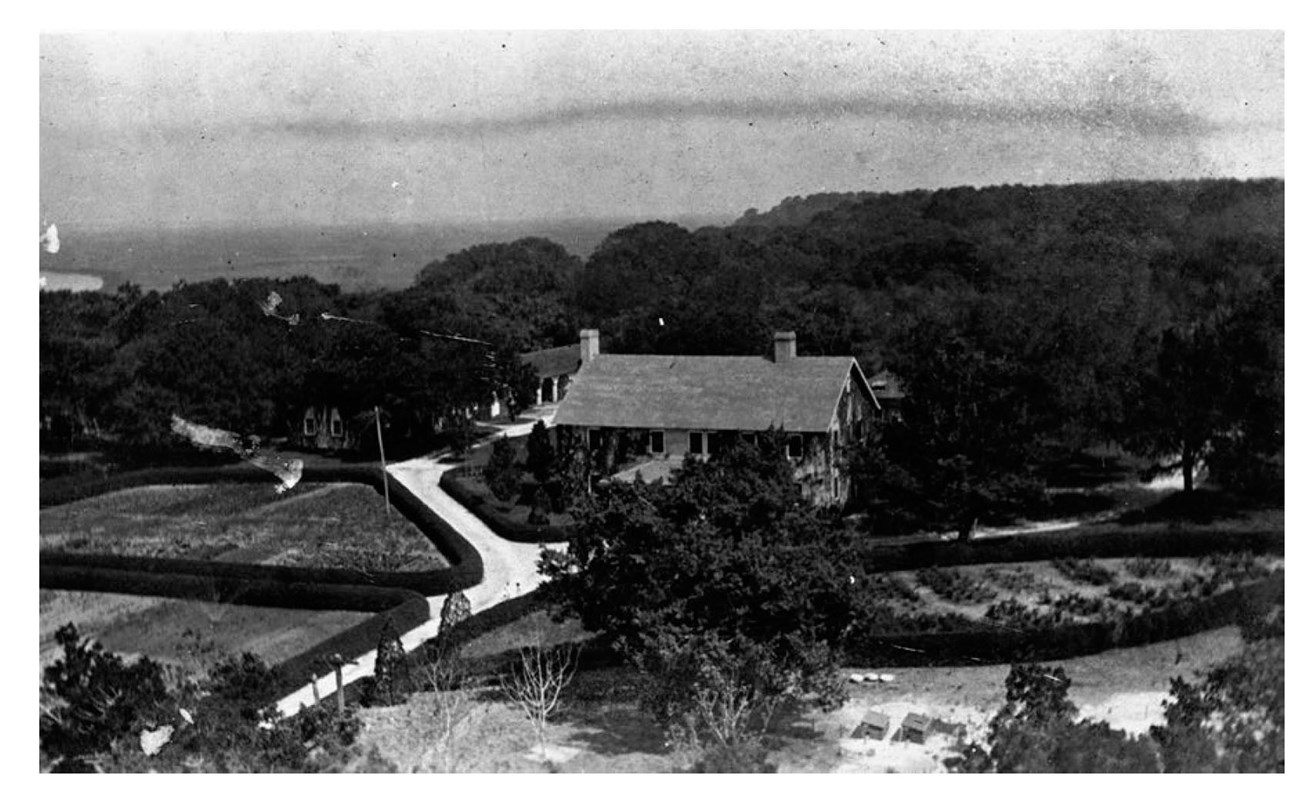 Historic image: Aerial view of estate includes the house, entrance drive, gardens bordered by uniform hedges, and trees beyond.