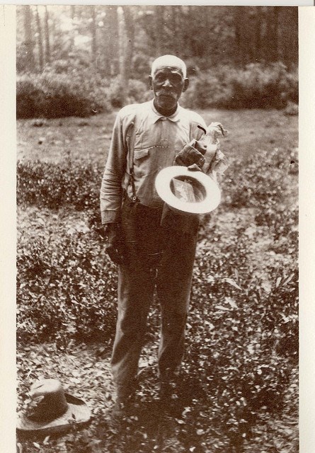 Historic image: A bald man with mustache and suspenders stands amid low plants, holding a brimmed hat.