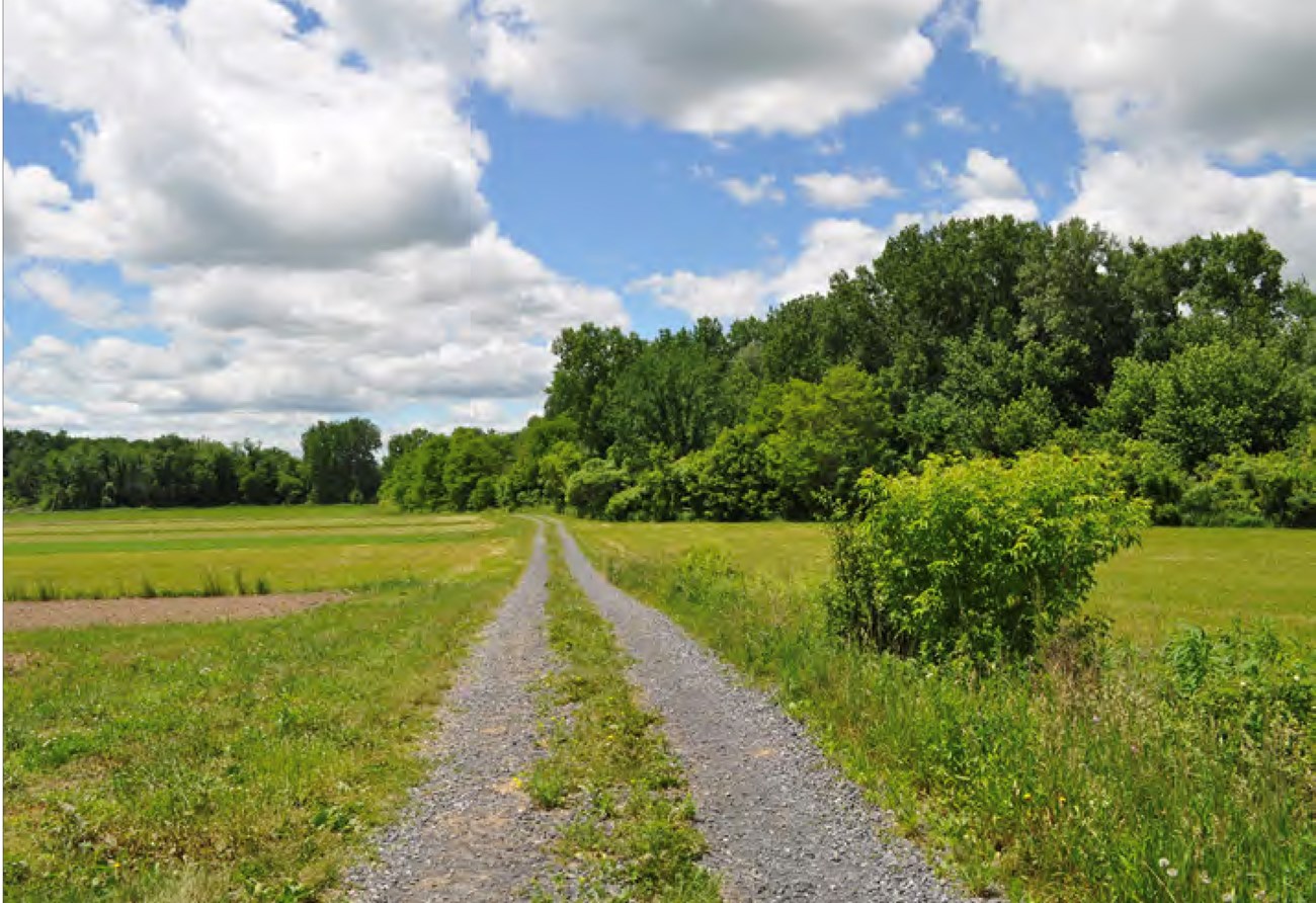 A two-track unpaved road leads straight through green fields, edged by trees