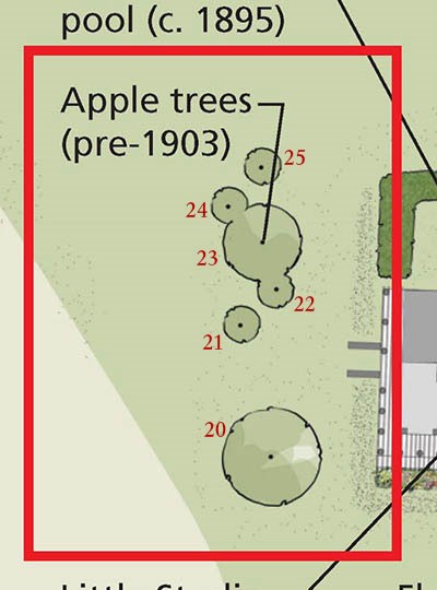 Apple trees west of studio Detail of 2013 site plan shows apple trees (pre-1903) to the left of a building, outlined by a red square.