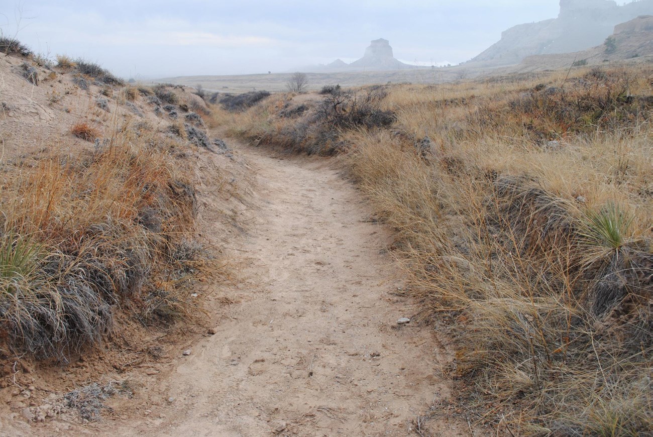 SCBL-Scotts-Blufff-CIRCULATION 4 Golden prairie grasses grow along the sides of a worn dirt path, with plains and rocks in the background