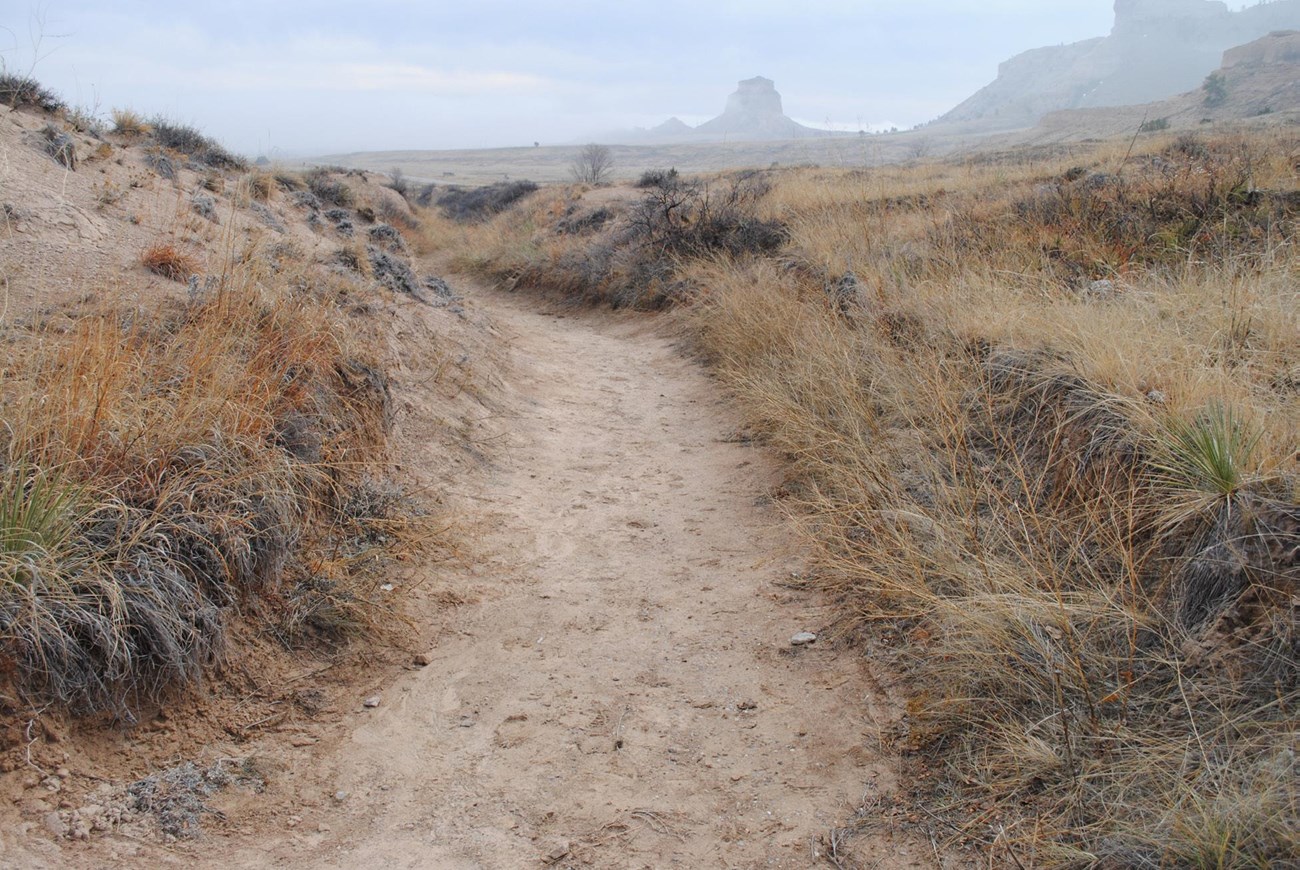 Golden prairie grasses grow along the sides of a worn dirt path, with plains and rocks in the background