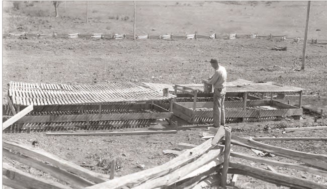 A man stands beside a low, slatted wooden structure, a seeding and transplant flat