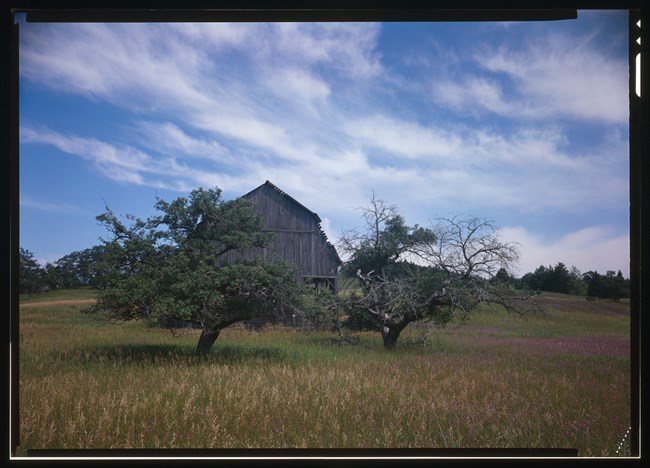 SLBE-Port-Oneida-Miller-Barn-LOC572201cv Remnant orchard trees beside a wooden barn, surrounded by grassy field