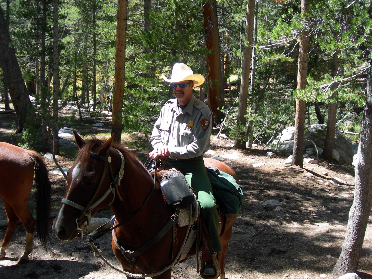 JD Swed on horseback in a wooded area