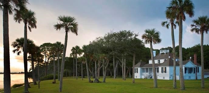 A scattering of palmetto trees grow on the lawn in front of a white plantation house, overlooking a body of water.