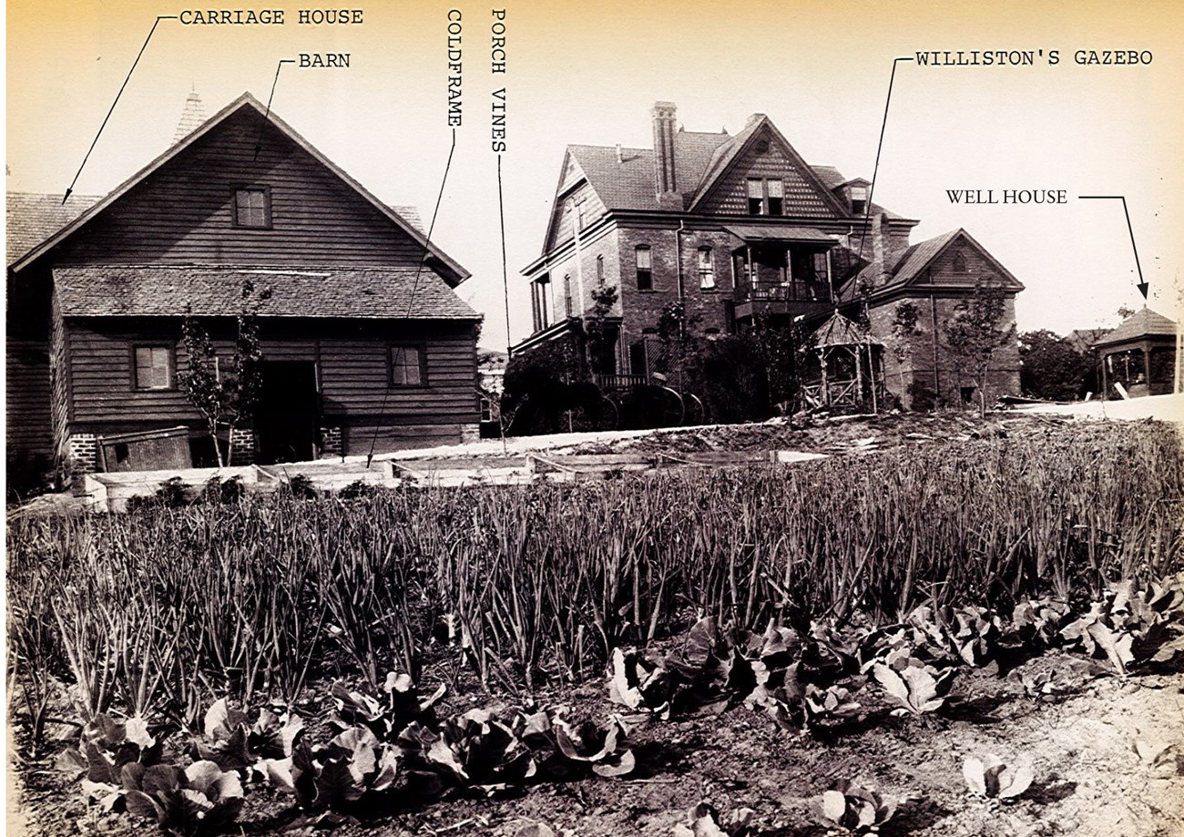Rear yard of The Oaks, ca. 1910 Garden beside a wooden barn, two-story house, gazebo, and wellhouse, annotated to indicate features.