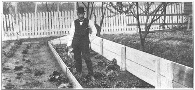 Washington in his garden at The Oaks Booker T. Washington in vest and hat holds lettuce in a garden, surrounded by wooden fence