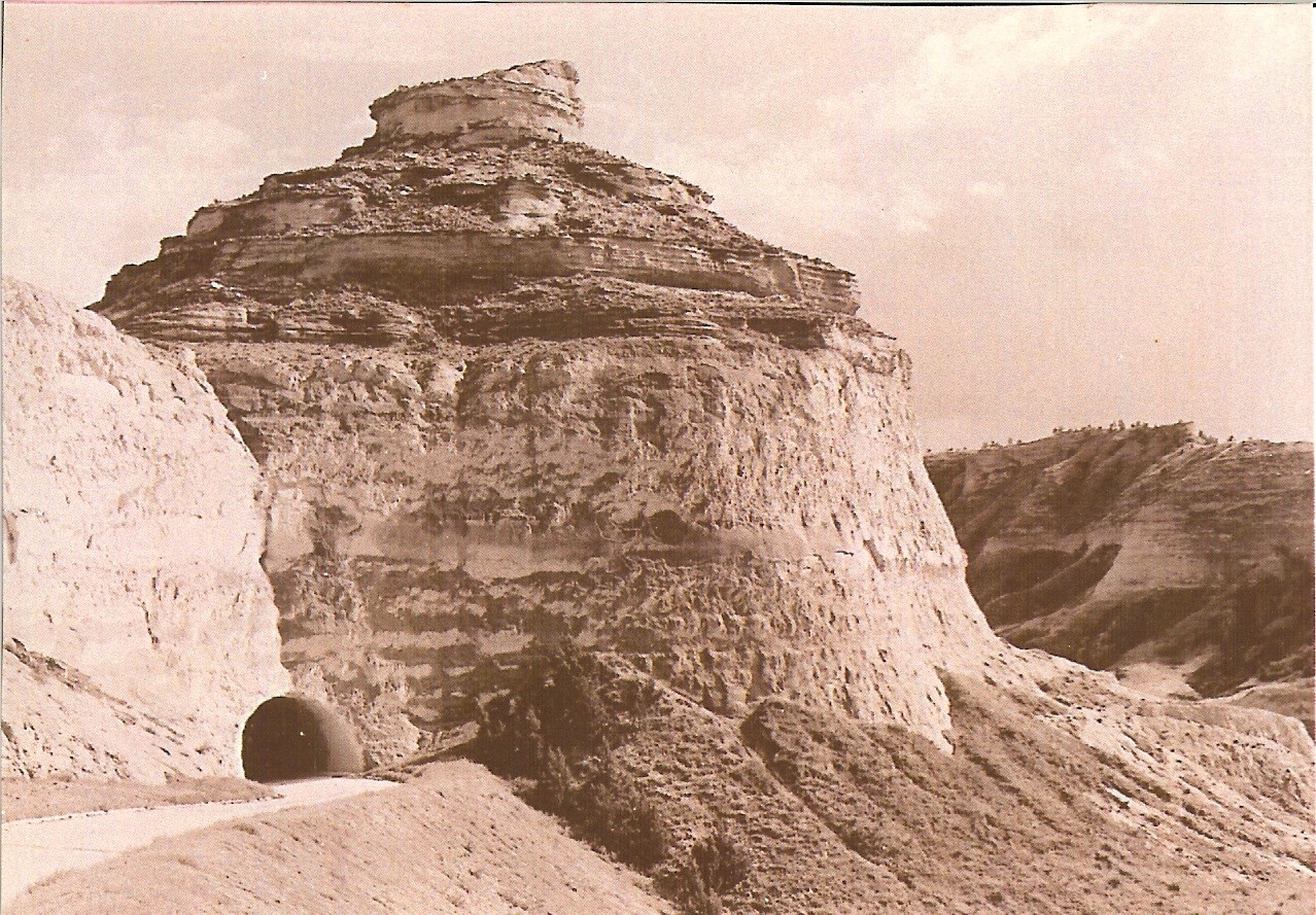 A road disappears into an arching tunnel opens in the side of a rocky bluff.