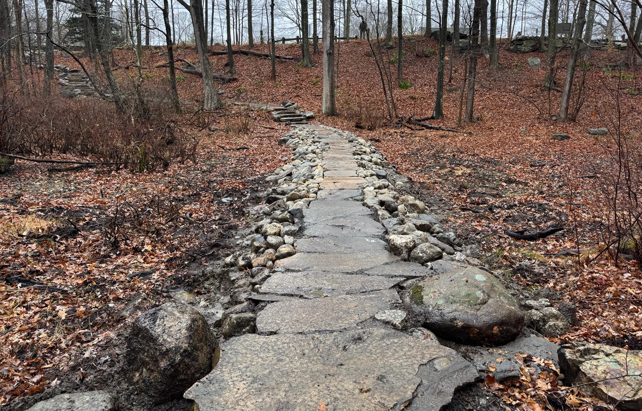 WEFA Causeway 2 copy The stone causeway forms a raised pathway through a wooded area, leading to stone steps on a slope