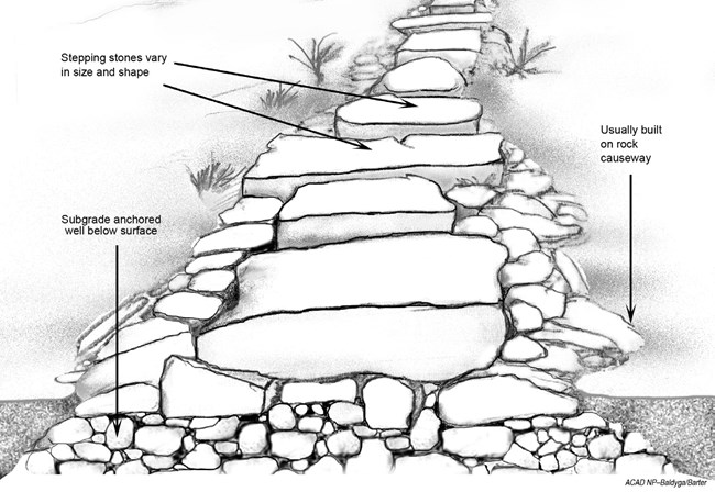 Acadia Trails Treatment Plan stepping stones diagram A labeled diagram shows construction of a stepping stone path, with a base, flat stones, and retaining stones on sides of causeway.