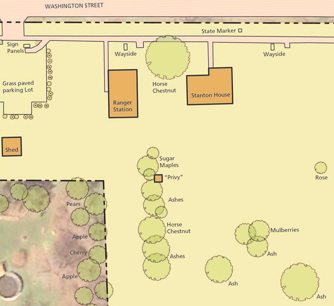 Stanton House site map, WORI Stanton House site map, showing the labeled horse chestnut tree near the house