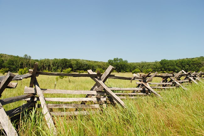 Wooden fence at Pea Ridge An orchard is visible beyond a wooden worm fence, surrounded by tall grass