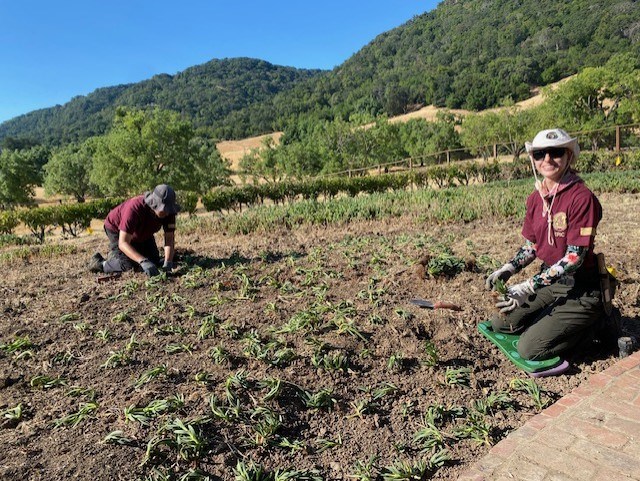 YCC Planting at EUON Two people kneel in a garden area where they are planting, with a backdrop of scattered leafy trees and low hills.