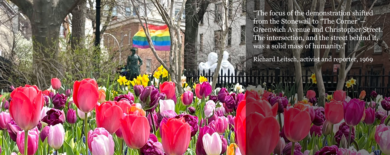 Pink and purple tulips grow in the foreground in a park, with trees, a rainbow flag, buildings, and statues beyond.