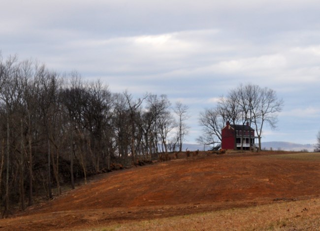 A row of trees lines the edge of a rolling field, nearly meeting at two-story brick house. A gap in the row is evident where trees were cut.