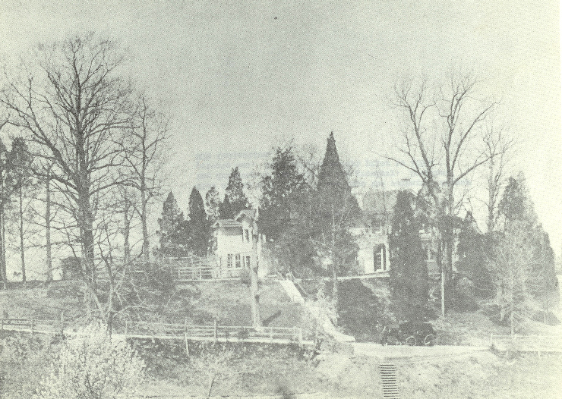 A historic photo of a house on a hill, obscured by tall cedar trees and leafless deciduous trees.