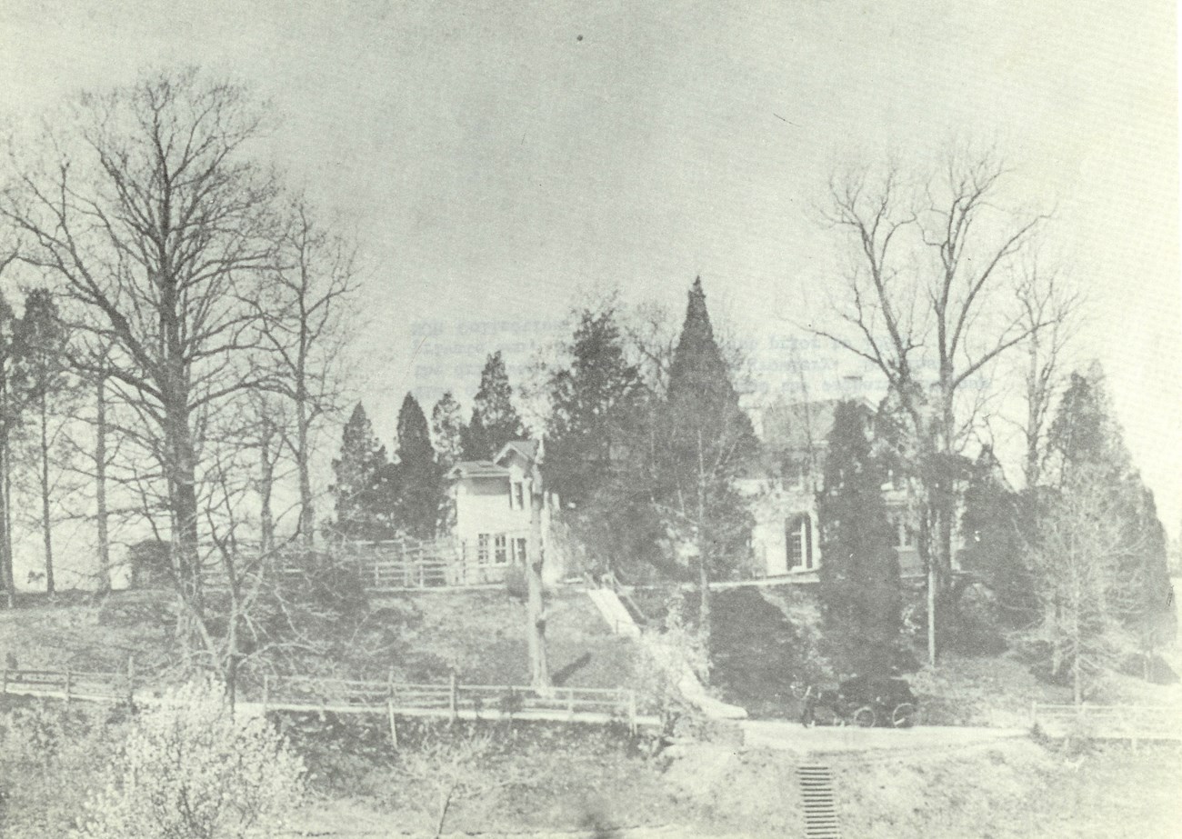 A historic photo of a house on a hill, obscured by tall cedar trees and leafless deciduous trees.