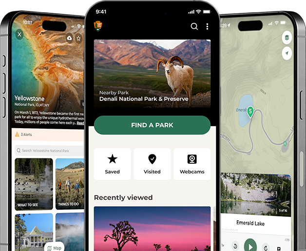 3 iPhones stacked together, showing different views of the NPS app