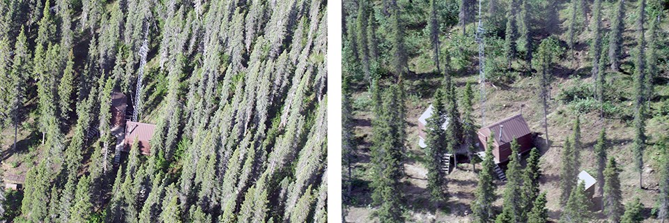 Left: Aerial view of dense trees surrounding cabin; right: trees have been thinned.