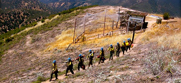 A line of firefighters hikes down a trail.