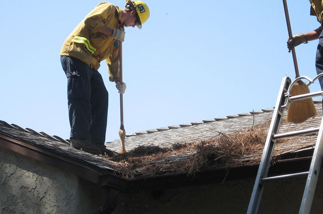 A firefighter removes pine needles and dead leaves from a gutter along a roof.