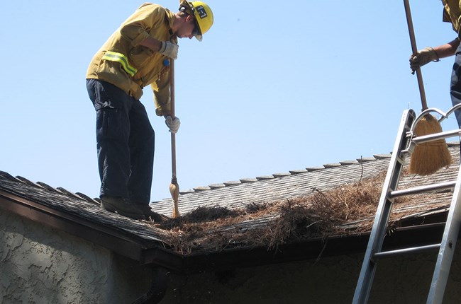 lt= A firefighter removes pine needles and dead leaves from a gutter along a roof.