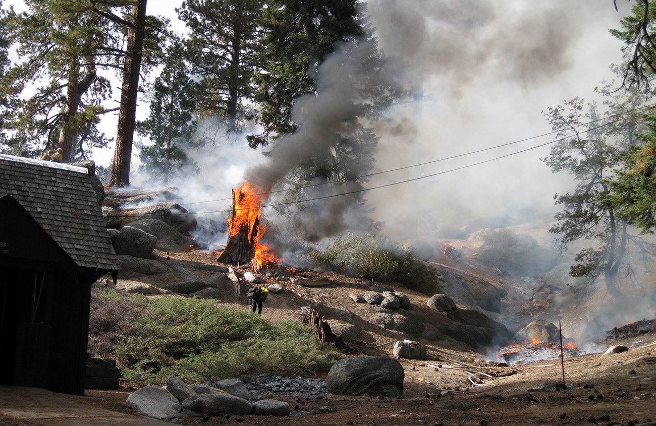 lt= A firefighter stands on a hillside near a burning stump.