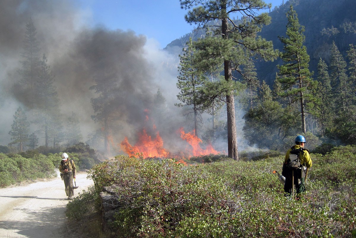 A firefighter stands in a brushy area with a lit drip torch, while another firefighter holding a hand tool walks down a gravel road. Nearby, flames from a prescribed fire put off dark smoke, obscuring a hillside.