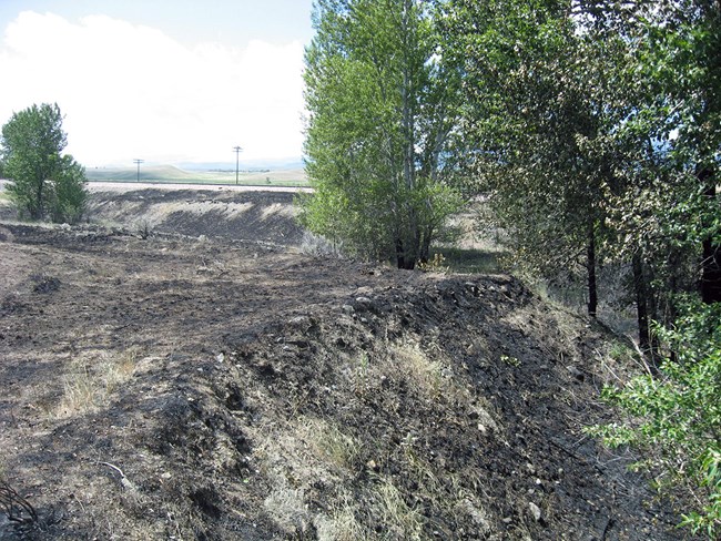 Burned area from a fire started by a train