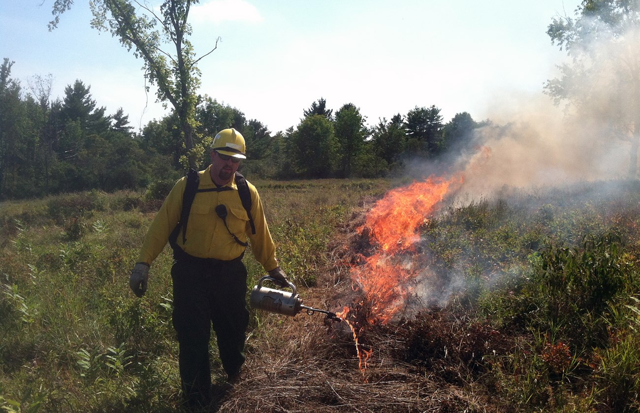 Firefighter uses drip torch to ignite vegetation in a line.