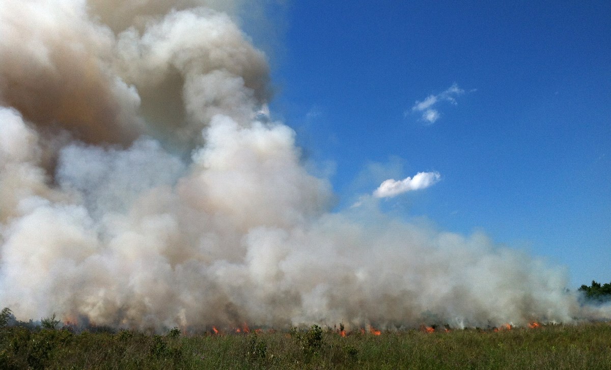 A large plume of smoke rises from prairie-type vegetation.