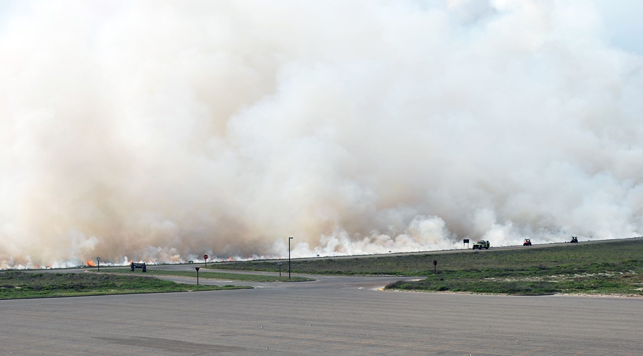 lt= Thick smoke rises from an area beyond a road.