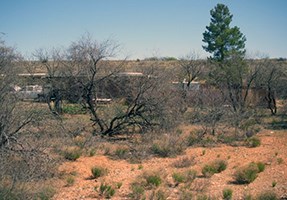 lt= Open landscape as a result of removal of brush and mesquite trees near park buildings.