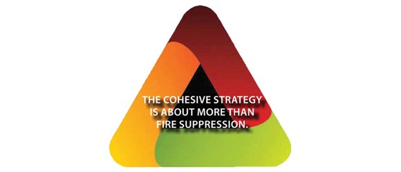 Cohesive Strategy A messaging triangle presents the key message that the Cohesive Strategy is about more than fire suppression