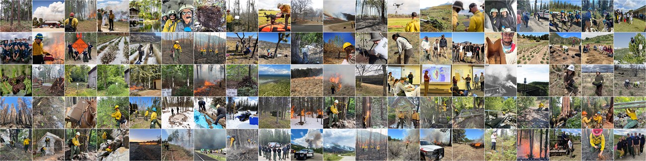 Collage of a variety image showing various aspects of wildland fire management.
