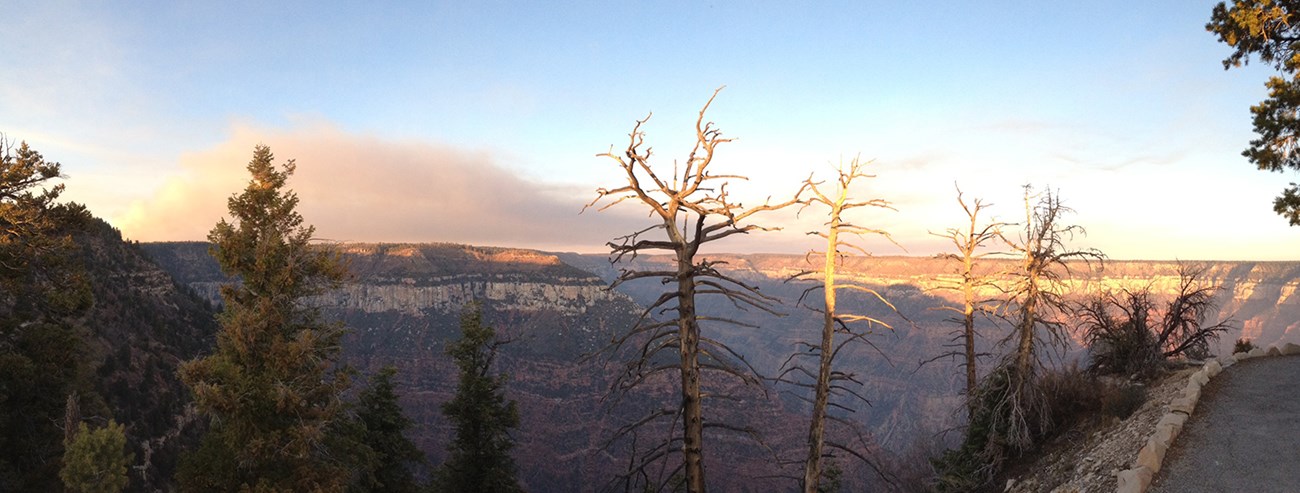 A collapsed smoke plume looms over a softly lit Grand Canyon.