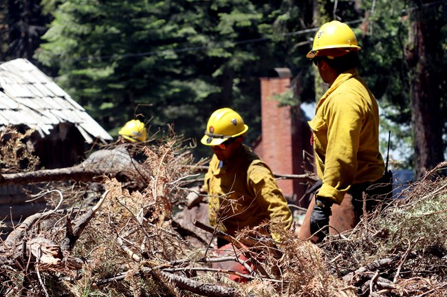 Fire crews works to clear dead and down slash.