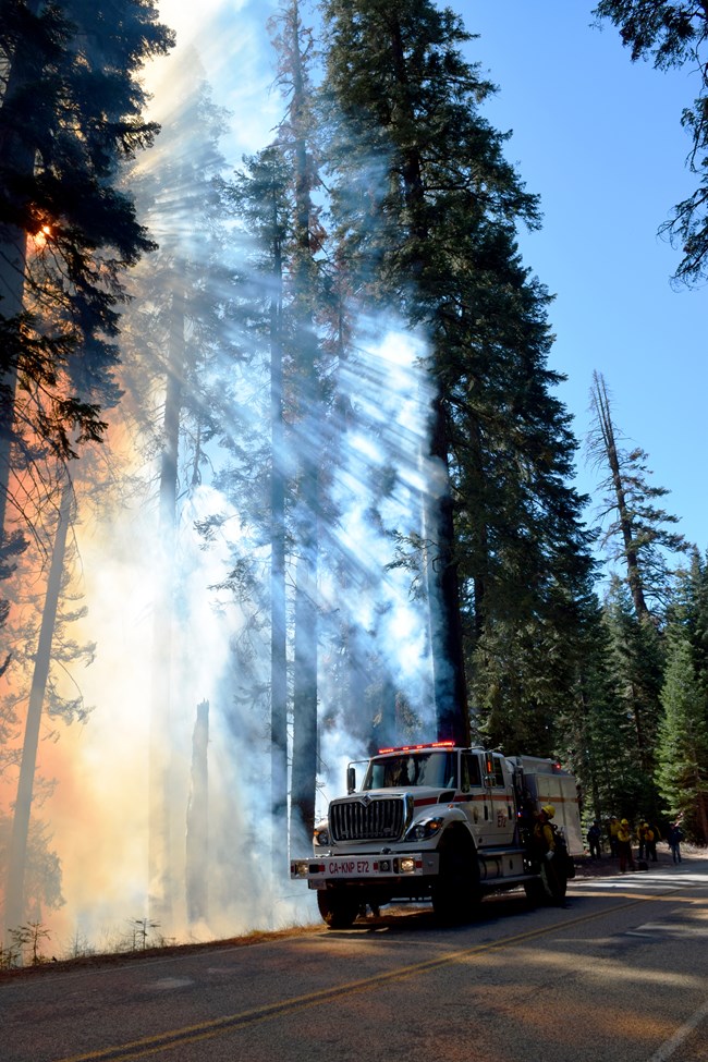 A type-3 wildland fire engine works a fire along the road in Sequoia National Park.