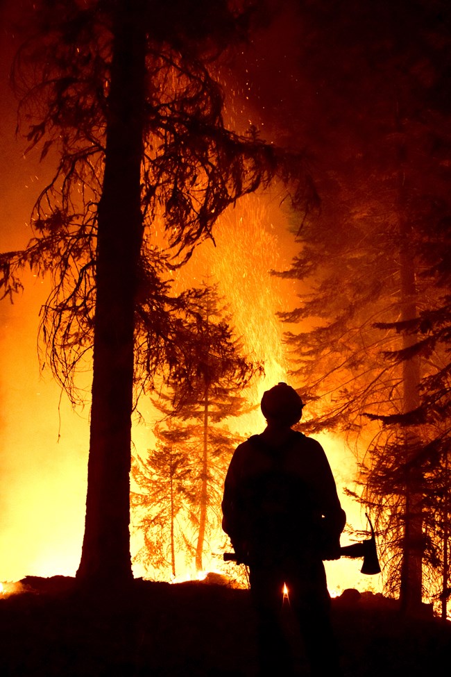 A firefighter holds the line during a prescribed burn in Sequoia National Park.