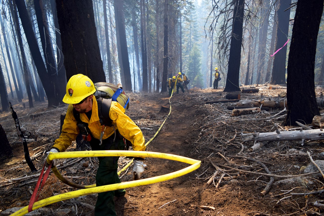 WF: Responding to Fire - Fire (U.S. National Park Service)