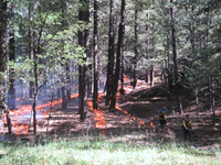 Stripes of fire ignited for prescribed burn Stripes of fire ignited for prescribed burn