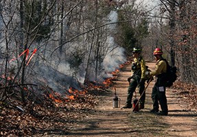 Two firefighters stand near the side of a dirt road with fire nearby.