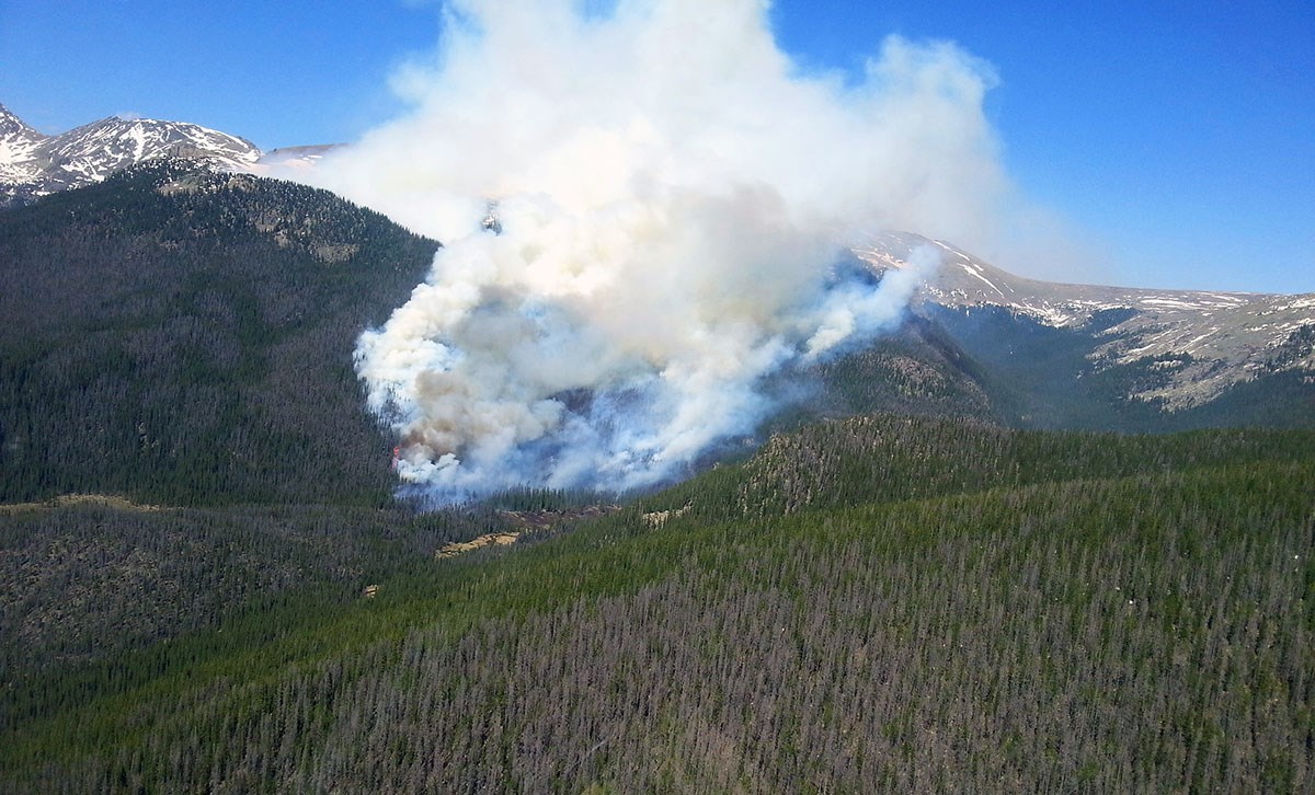 A large plume of smoke on the side of a mountain near an area with beetle-killed trees.