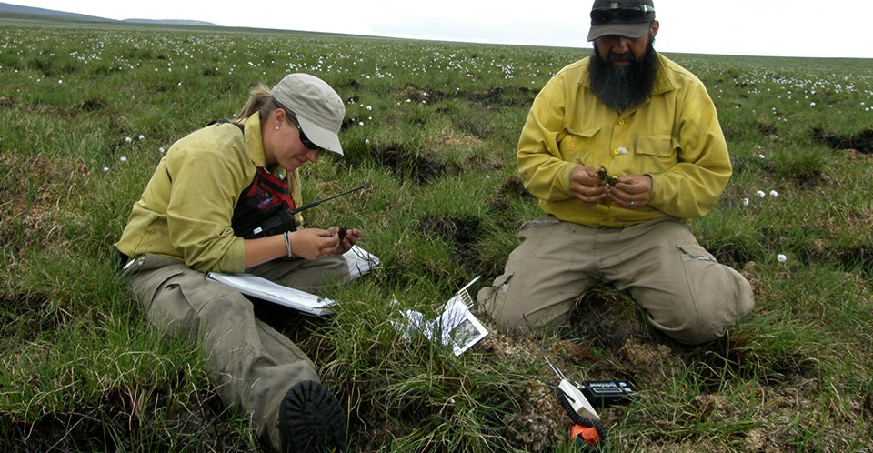 Two people sit on the ground looking at samples of soil.